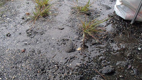 川の様に水が流れるキャンプサイト